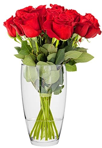 TREND FOR HOME Vase Bombé en Verre 25 cm Transparent Vase Decoratif Vase Rose en Verre pour Rose Vase à Fleurs en Verre Décoration Chambre Vase Fleur | ⌀ 13.7 cm | 2834 ML | Leilani