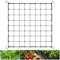 Rybtd Trellis Net 80 x 80 cm Scrog Net Trellis Netting with Hooks,Elastic Trellis Netting Plant Support Net Flexible Net Trellis for Vegetables Fruits Flowers,Garden Netting