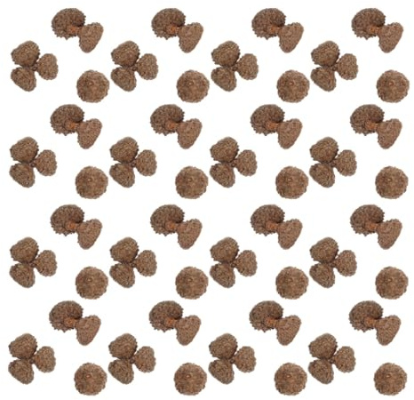 GAROZATION 200 Stück Rustikale Eichel Kappe aus Echtem Material für Weihnachtsgestaltung und Herbst Tischdekoration Tragbar und Schalenfüller