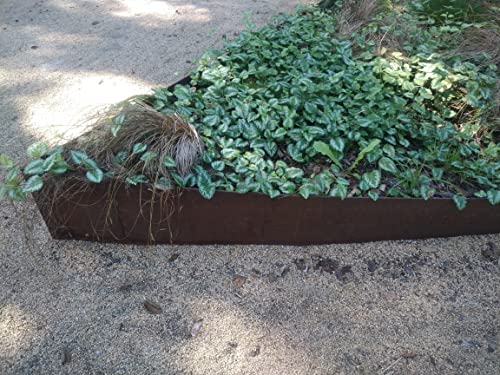 10 Meter- 16 cm hoch Rasenkante Stahl Edelrost Mähkante Metall Beeteinfassung