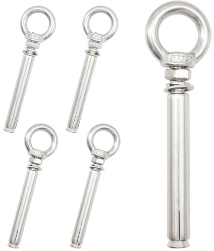 Ruidee Lot de 5 vis à œil ancre en acier inoxydable M8 x 100 mm avec anneau d'extension pour construction en béton et maçonnerie (PZ-LS/M8 x 100 mm)