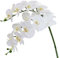 Htmeing 96,5 cm künstliche Phalaenopsis Blumen Zweige wie eine echte (Nicht aus Seide) Orchideen Blumen für Büro zu Hause Hochzeitsdekoration, 2 Stück weiß