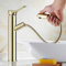 YHSGY Robinets de lavabo Salle De Bain Amovible Robinet De Salle De Bain Robinet Avec Douchette Douchette Amovible Mitigeur De Lavabo