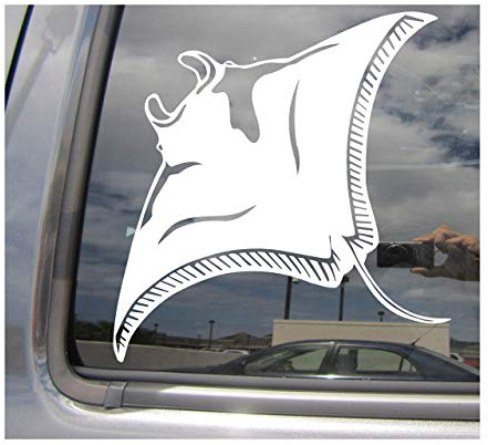 myrockshirt Manta Rochen seerochen Stachelrochen 20cm Aufkleber Sticker FREIE Farbwahl Autoaufkleber Wandtattoo