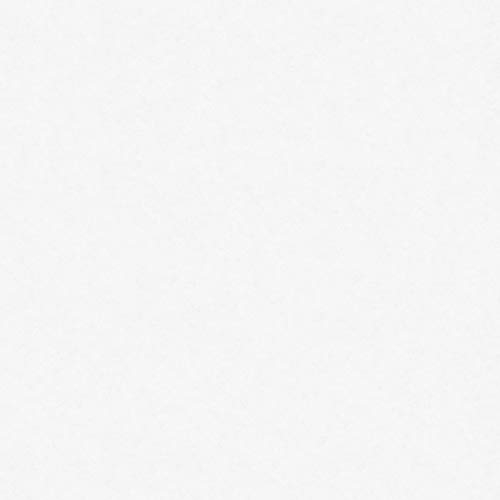 Vliestapete überstreichbare Tapeten 953131 95313-1 A.S. Création Meistervlies 2020 | Weiß | Rolle (25,00 x 0,75 m) = 18,75 m²