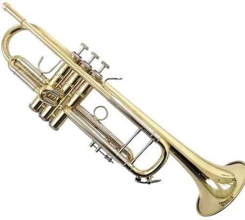 Professionelles Musikinstrument Trompete B-Ton Profi-Trompete Oberflächenmaterial Goldlack