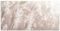 ARTland Wanddeko Glasbilder Wandbild Glas Bild 60x30 cm Pflanzen natural elements Gräser Pampasgras im Sonnenlicht Boho Deko U5GP