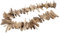Unbekannt Windspiel Girlande Wandschmuck Treibholz Holz Garten Bad Tischdeko Deko Maritim