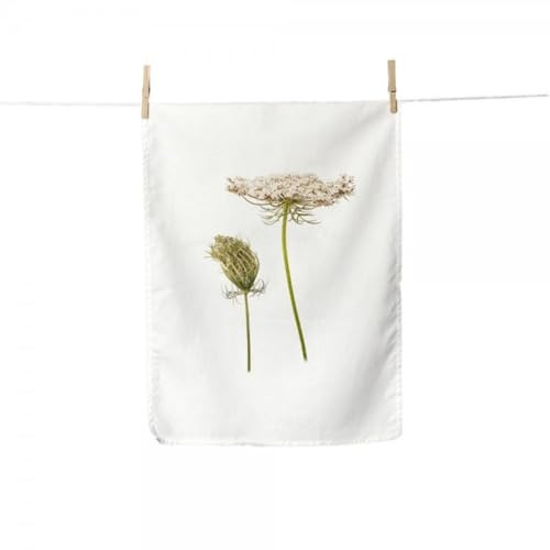 Simply Flowers - Trockentuch - Geschirrtuch - Küchentuch - Wilde Möhre - Baumwolle - 50 x 70 cm