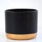 Two-Tone Black & Gold Medium Ceramic Plant Flower Pot Round Modern Stylish Simple Design for Indoor House Plants Succulents 1 x Medium Black & Gold Ceramic Pots by Thompson and Morgan