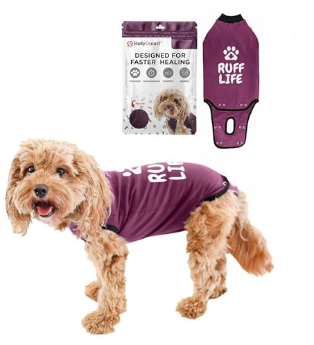 BellyGuard - After Surgery Dog Recovery Onesie, Post Spay, Neuter, Body Suit for Male and Female Dogs, Cone alternative for Large and Small Dogs, Soft Cotton Covers Wound, Stitches, Mini, Maroon