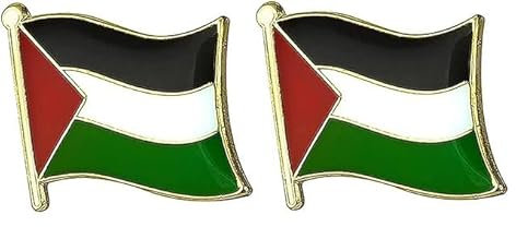 Yeesabella 2 PCS Palestine Palestinian Flag Pin Badge Lapel Palestine National Enamel Badge Armband
