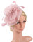MoreChioce Fascinator - Cappello da donna in canapa, con piume, con fermaglio per capelli, traspirante, con piume, fiori, copricapo da sposa, per donne e ragazze, colore: rosa