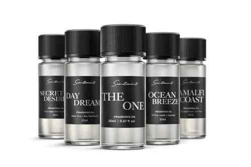 Scentiment Hotel Diffuser Oil Discovery Kit | Inspired by 1 Hotel® Ritz-Carlton® & Luxury Hotel Scents | Aromatherapie-Öle mit Noten von Kardamom, toskanischem Leder und Sandelholz (20 ml, Top 5 Düfte