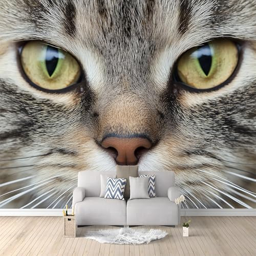 Papier Peint de Photo Animal Chat Américain À Poil Court Gris 250x175 cm Papier Peint Panoramique Papier Peint intissé Murale Pour Chambre De Fille, Garçon, Chambre De Bébé Salon Chambre Décor