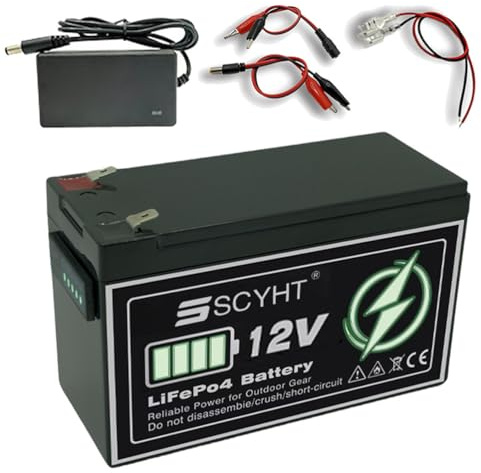 SSCYHT LiFePO4 Battery 12V 10Ah 6Ah 12Ah Li-ion Battery 12V Rechargeable Batteries 8Ah Lithium Batteries for Backup Power with Indicator for 50W - 150W Motors,12V8Ah