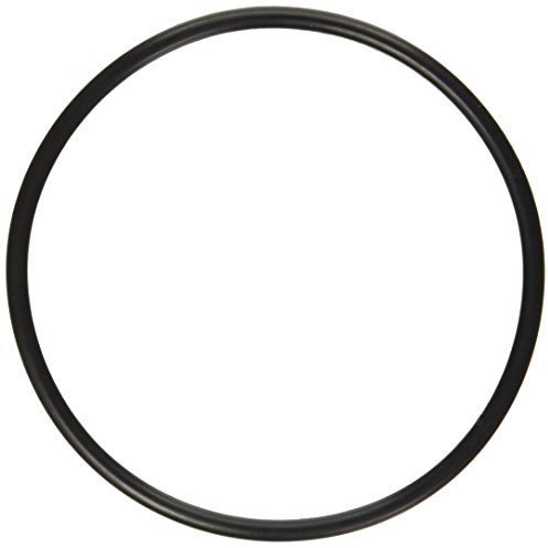 Pentair 272541 O-Ring - Filtro e valvola di Ricambio per Piscina/Spa