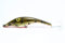 Zalt 11 Wobbler 75, schwebend 22g