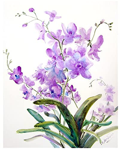 DCIDBEI 5D Diamond Painting Full Set Eckige Steine Orchidee Phalaenopsis 40x50cm DIY Diamant Bilder Quadratische Steine Diamant Painting Stickerei Set Kreuzstich Bilder Malen nach Zahlen Stitch