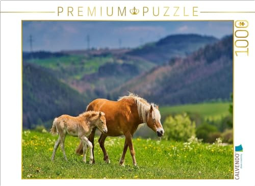 Puzzle · Haflinger Stute mit Fohlen | 1000 Teile · Lege-Größe 64 × 48 cm · CALVENDO Puzzle