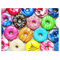 fishwisdom 500 Piece Jigsaw Puzzle Donuts for Adults and Teens and Kids Family Happy Time Gift Idea