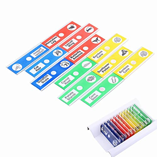 Mikroskop-Objektträger für Kinder - Mikroskop Zubehör mit Präparierten Objektträgern, Biologie, 4 Farben, 12 Stück