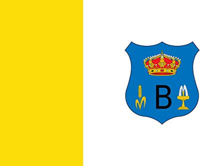 magFlags Flagge: XL Bojacá Cundinamarca | Municipio de Bojacá Cundinamarca Compuesta por una franja de color amarillo oro que representa la cuarta parte del pabellón y va en s