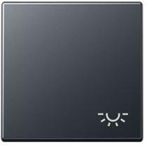 Jung a590bflanm – Taster Simbolo Licht anthrazit matt