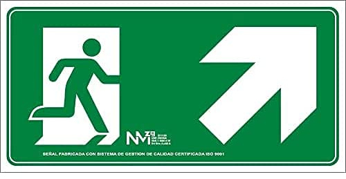 Normaluz RD11150 - Leuchtschild Auslaufleiter rechts oben Klasse B PVC 0,7 mm 32 x 16 cm mit CTE, RIPCI und geeignet für neue Gesetzgebung, grün