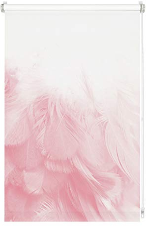 GARDINIA Rollo ohne Bohren, Zum Klemmen, Blickdicht, Sichtschutz, Blendschutz, Inkl. Aller Montage-Teile, Digiprint Federboa, Weiß/Dekor, 100 x 150 cm