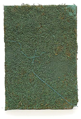 Holyart Papier mit Moos für Krippe