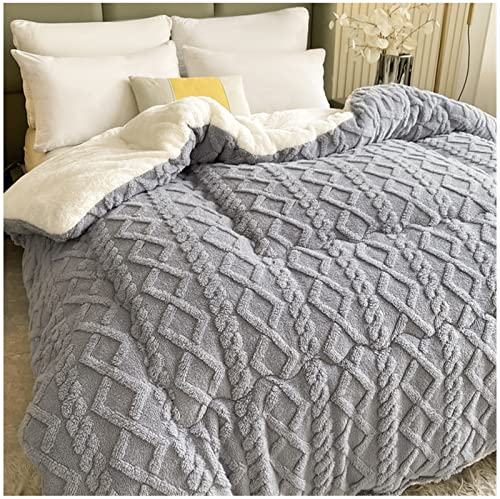 ZTGL Bettdecke 220x240cm Winter Dicker Lamm-Kaschmir Decke, Flauschige Kaschmir-Steppdecken, Winterwarm, Kern aus Lammsamt, Dick warm Plüsch Winterdecke,E,200x230cm/4kg
