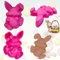 2 Stück Ostern Silikon Schokoladenformen, Ostern Kaninchen Backform, Osterhasen-Eierform, Ostern 3D Hasen Silikonform, für DIY Kuchen, Schokolade, Süßigkeiten, Gelee, Ostergeschenke (Rosa)