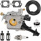 ZAMDOE Carburatore per STI-HL BR350 BR350Z BR430 SR430 SR431 SR450 BR430Z Soffiatore a Spalla sostituisce C1Q-S210 C1Q-S210B 4229 129 0901 Carb 4244 120 0603, con Linea di Alimentazione Candela