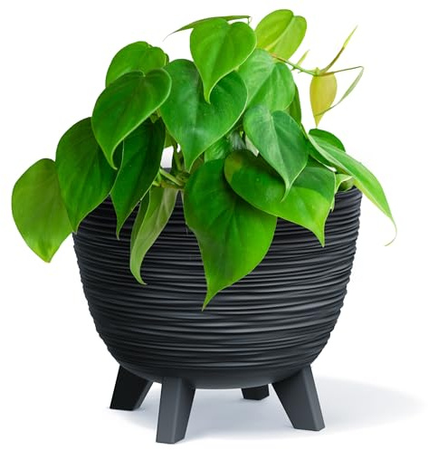 B2C Bowl Planter Plant Pot with Legs Oval Flower Modern Decorative FURU Indoor 4 Colours Modern Elegant Plqastic Matt Finish Textured Home Office Balcony Lightweight (Anthracite, 39.5m)