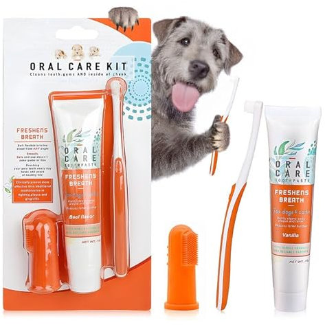 Dentifricio per Cani Tartaro, Dentifricio e Spazzolino per Cani, Spazzolino Denti Cane, Aroma di Manzo, Protegge la Salute Orale del Tuo Animale domestico, Per Cani o Gatti, 3 Pezzi