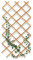 VERDELOOK | Traliccio Estensibile in Bamboo, 150x180 cm, Ideale per Decorazione Esterni, Canne Bamboo per Piante Rampicanti