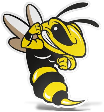 ERREINGE - Adesivo 35 cm APE VESPA DX - Sticker PVC | Decal compatibile per Auto, Moto, Scooter, Casco, Laptop, Camper, Cofano, Bici