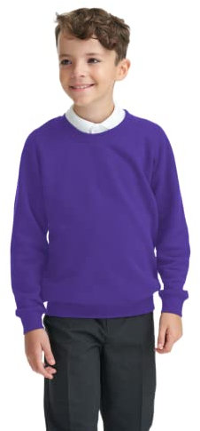 Integriti Schoolwear Boys Girls Unisex Jumper Sweatshirt Crew Neck Round Neck School Uniform Ages 1-15 Purple