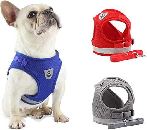 DARENYI Adjustable Dog Harness and Lead, Mesh Breathable Comfortable Puppy Harness for Small Dogs (Size XL, Blue)