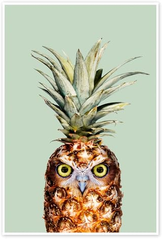 Ananeule I Poster von Jonas Loose 20 x 30 cm Pastell Wandbilder Wanddeko