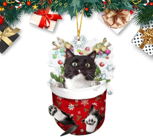 Decorazioni per L'Albero di Natale del Gatto, Ornamento Gatto Unico, Ornamenti per L'Albero di Natale per Gli Amanti dei Gatti, Ornamenti Colorati per Gatti per Interni per Gli Amanti dei