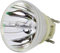 azurano Beamerlampe für OPTOMA SP.78V01GC01 BL-FP240E Ersatzlampe Projektorlampe