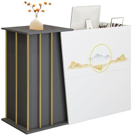 GAOXIAO Empfangstresen mit Schreibtisch, Rezeption Schreibtisch Bürotheke Reception Tisch, Empfangstheke Salon Kosmetikstudio, Empfangstheke Rezeption Friseur, Rezeption Stations C 100 cm
