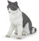 Papo 54033 HAUSTIERE Sitzende Katze, Mehrfarben