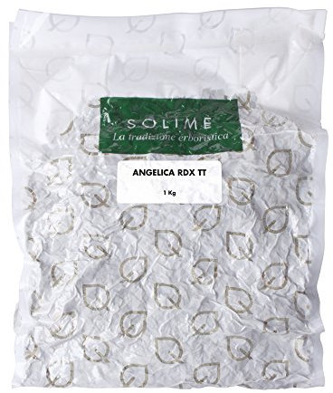 Angelica Radice taglio tisana - 1 kg - Prodotto made in Italy