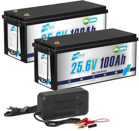 HRBEENERGY 24V 100AH LiFePO4 Batería 2Pack,BMS de incorporado y celdas de grado A, batería recargable de fosfato de hierro y litio de 24V,4000-15000 ciclos profundos para solares, motores de arrastre