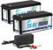 HRBEENERGY Batterie LiFePO4 24V 100AH 2Pack, BMS 100A intégré et cellules de qualité A,Batterie rechargeable24V au lithium phosphate de fer, 4000-15000 cycles，pour solaire, moteur de pêche à la traîne
