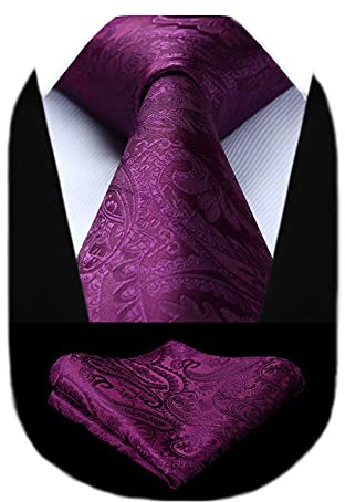 HISDERN Cravate Homme Violet Paisley Mariage Cravatte et Pochette Set Cravates en Soie pour Hommes