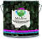 Müller Qualitätsfarbe Latexfarbe Dispersionsfarbe strapazierfähige abwaschbare Wandfarbe in vielen exklusiven Farbtönen (2 l, Baby Rosa)